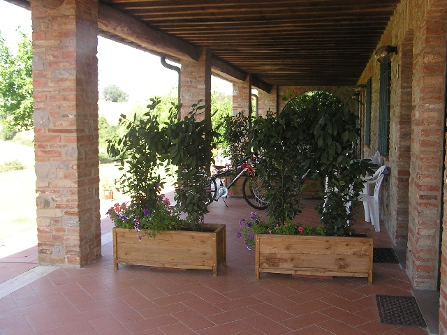 IL CASOLARE