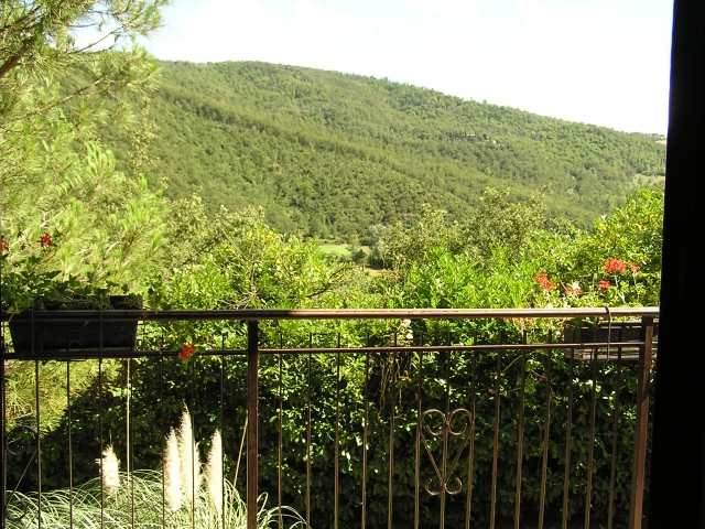 IL BOSCHETTO